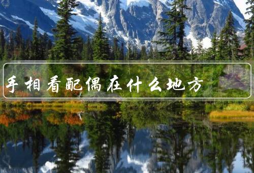 手相看配偶在什么地方，婚姻线、感情线、爱情线