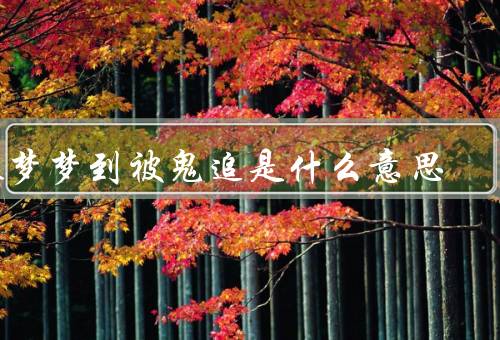 做梦梦到被鬼追是什么意思（梦境的背景、被鬼追的感受）