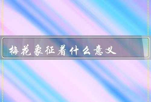 梅花象征着什么意义，坚韧精神／纯洁品质／坚持到底