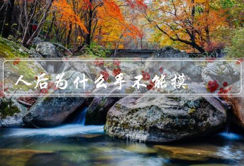 人死后为什么手不能摸，变化／处理的需要／尊重逝者