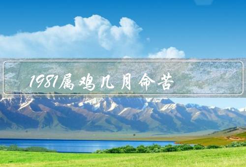 1981属鸡几月命苦（凶险的一月／困顿的六月／挑战的十二月）