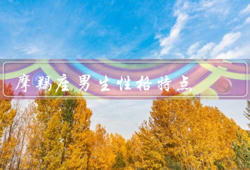 摩羯座男生性格特点，理性稳重／责任心强／坚持追求成功