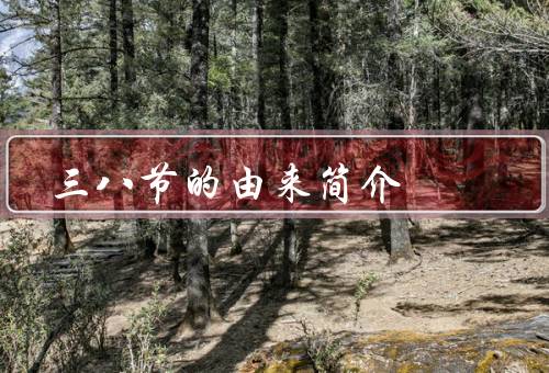 三八节的由来简介，妇女争取平等权益、呼吁性别平等
