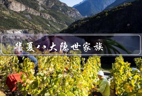 华夏八大隐世家族（龙族、凤族、虎族）
