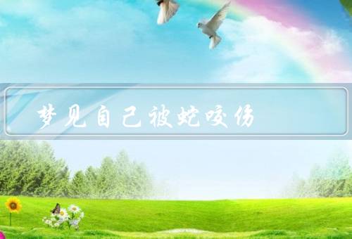 梦见自己被蛇咬伤，蛇的出现、被咬伤的痛苦、困惑和恐惧