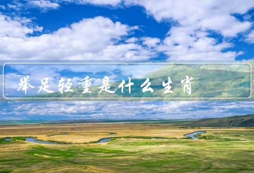 举足轻重是什么生肖，老鼠／龙／牛