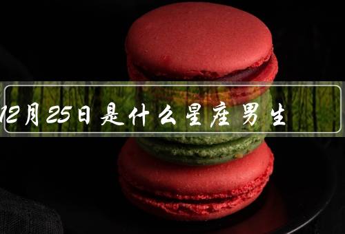 12月25日是什么星座男生，性格特点／爱情观／职业发展