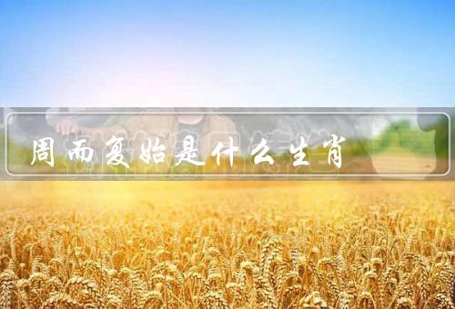 周而复始是什么生肖（由来／特点／象征意义）