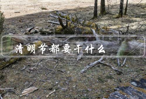 清明节都要干什么，祭祖／扫墓／踏青
