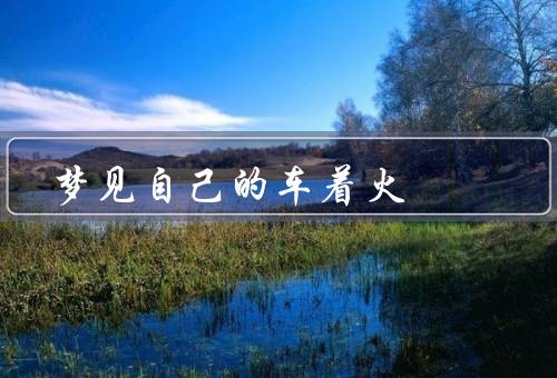 梦见自己的车着火，梦见车着火／恐惧和无助／寻找解决办法