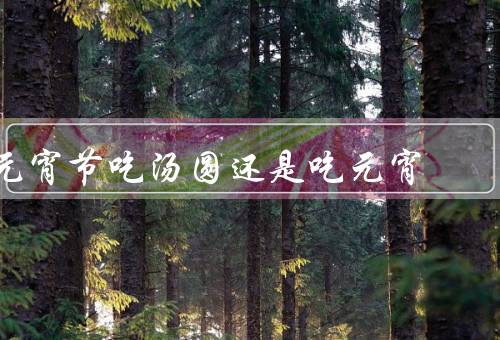 元宵节吃汤圆还是吃元宵，汤圆的寓意／元宵的象征