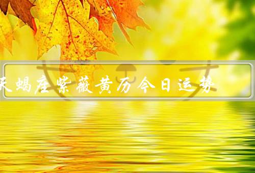 天蝎座紫薇黄历今日运势，事业运势／爱情运势／财运运势