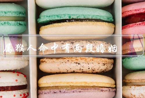 属猴人命中有两段婚姻，第一段婚姻／第二段婚姻／结语
