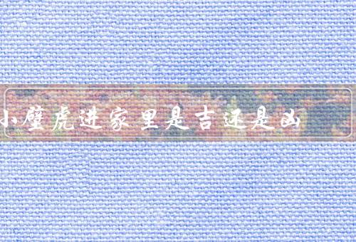 小壁虎进家里是吉还是凶（优点／缺点／价值和处理方法）