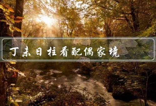 丁未日柱看配偶家境，家境与财运、家庭背景、职业和社会地位
