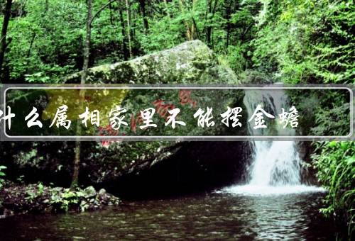 什么属相家里不能摆金蟾（传统文化忌讳）