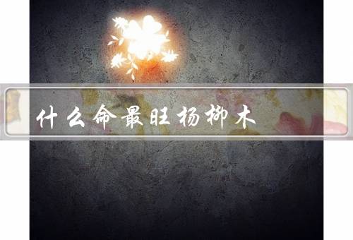什么命最旺杨柳木（生长速度快／适应性强／多功能用途）