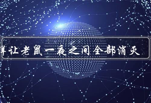 怎样让老鼠一夜之间全部消灭（保持清洁卫生／捕鼠器／毒饵）