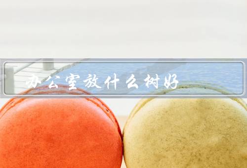 办公室放什么树风水好，绿萝／富贵竹／吊兰