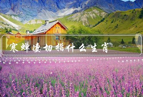 寒蝉凄切指什么生肖，寒蝉的特点／关于生肖／寒蝉凄切的原因