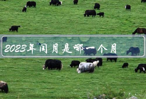 2023年闰月是哪一个月，定义／计算方法／2023年