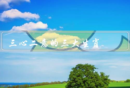 三心二意的三大生肖，鼠、猴、双鱼