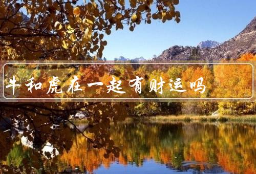 牛和虎在一起有财运吗（特性、象征意义、在一起财运）