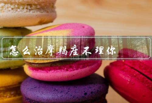 怎么治摩羯座不理你（让摩羯座感受到你的价值、提供帮助和支持）