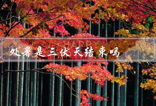 处暑是三伏天结束吗