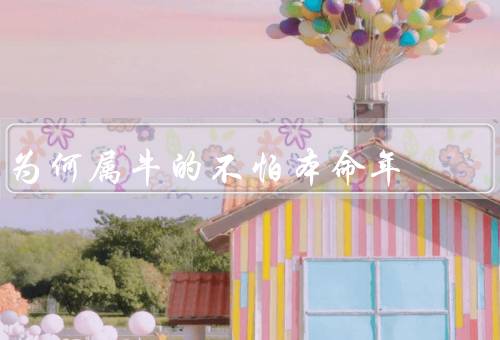 为何属牛的不怕本命年，坚韧不拔／稳定心态／勇敢面对