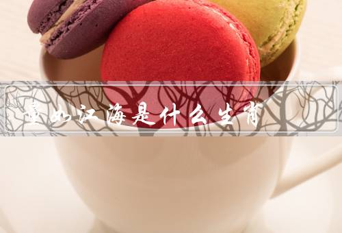 量如江海是什么生肖，江海生肖的个性特征／运势