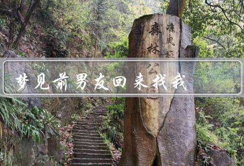 梦见前男友回来找我，矛盾的心情、回忆与思考、未来的选择