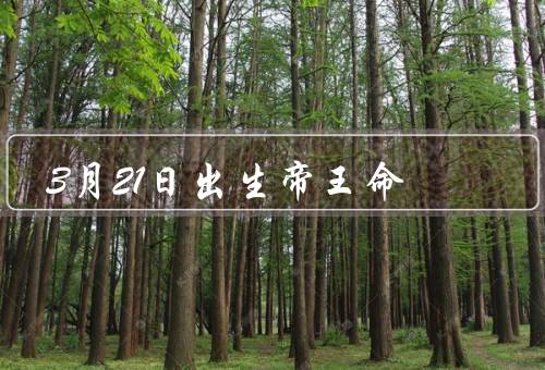 3月21日出生帝王命（特征、影响力、成就）