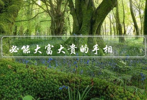 必能大富大贵的手相（财富的源头／前提）