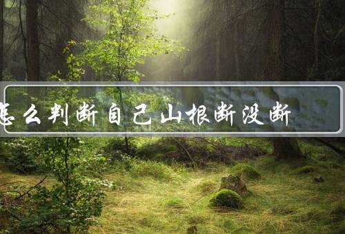怎么判断自己山根断没断，观察外部症状／触摸根部／检查土壤情况