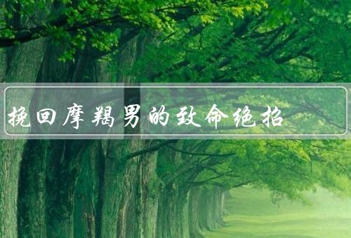 挽回摩羯男的致命绝招（坚定的决心／改变自己／用行动证明）