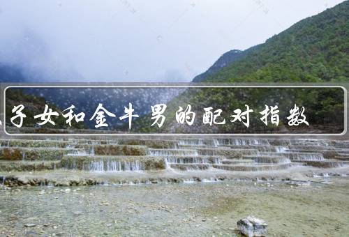 双子女和金牛男的配对指数（性格特点／沟通与理解／互补与共同点）