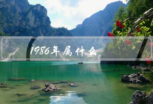 1986年属什么，政治、经济、文化