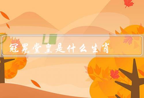 冠冕堂皇是什么生肖，特点／职业选择／爱情观