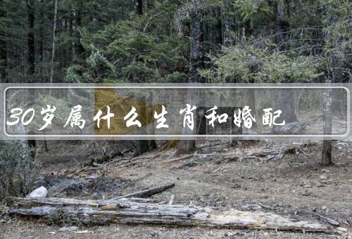 30岁属什么生肖和婚配（个人特质、运势、相克）