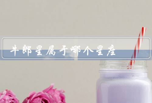 牛郎星属于哪个星座，位置／特点／历史和传说