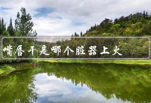 嘴唇干是哪个脏器上火（上火的原因、嘴唇干燥与身体上火的关系）