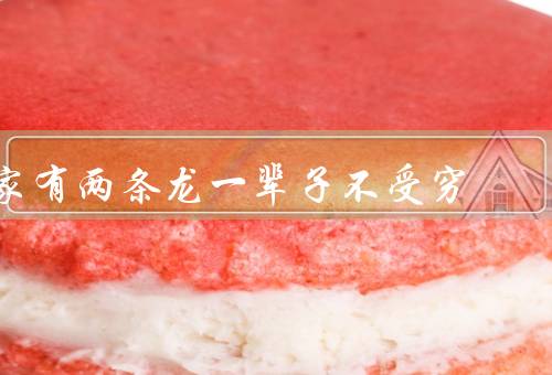 家有两条龙一辈子不受穷，两位才子／事业飞黄腾达／幸福家庭