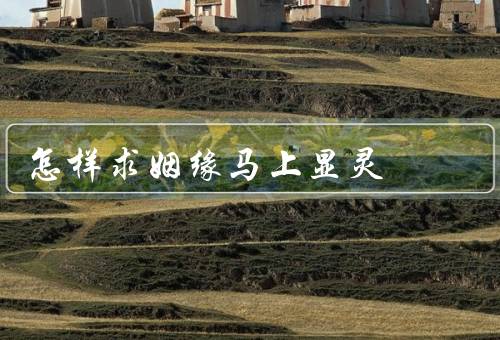 怎样求姻缘马上显灵，观念转变／提升自身魅力／主动出击