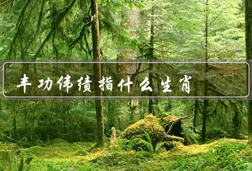 丰功伟绩指什么生肖，龙／马／鼠