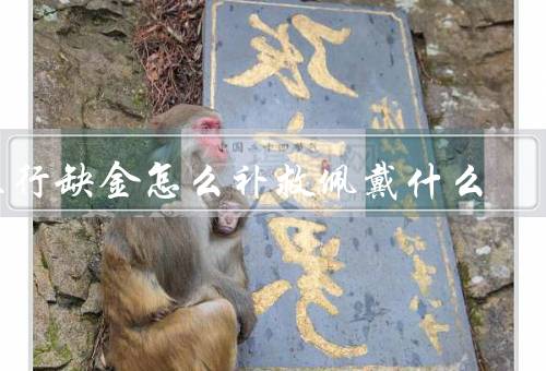 五行缺金怎么补救佩戴什么