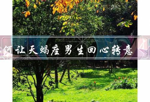 如何让天蝎座男生回心转意，了解天蝎座男生的性格特点