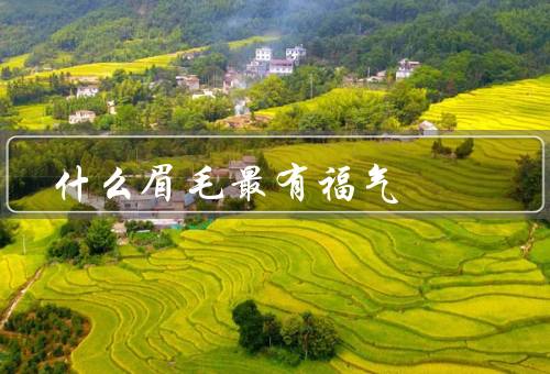 什么眉毛最有福气，丰厚饱满的眉毛／弯曲自然的眉毛