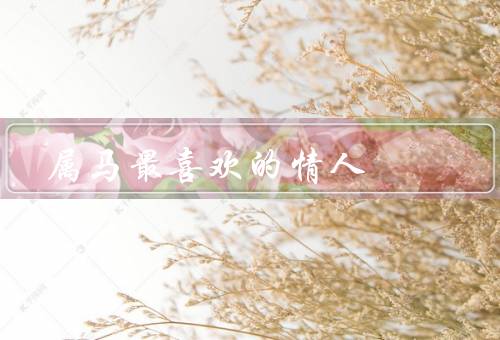属马最喜欢的情人，性格相投／兴趣爱好相投／自由自在