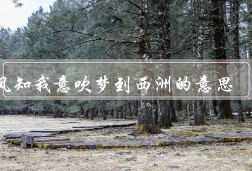 南风知我意吹梦到西洲的意思，我意／吹梦到西洲／我意吹梦到西洲